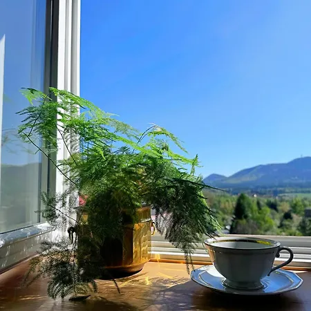 Eviva L'arte! Boguszów-Gorce